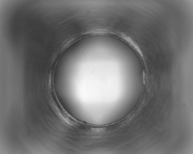 X0000071760057200606300926