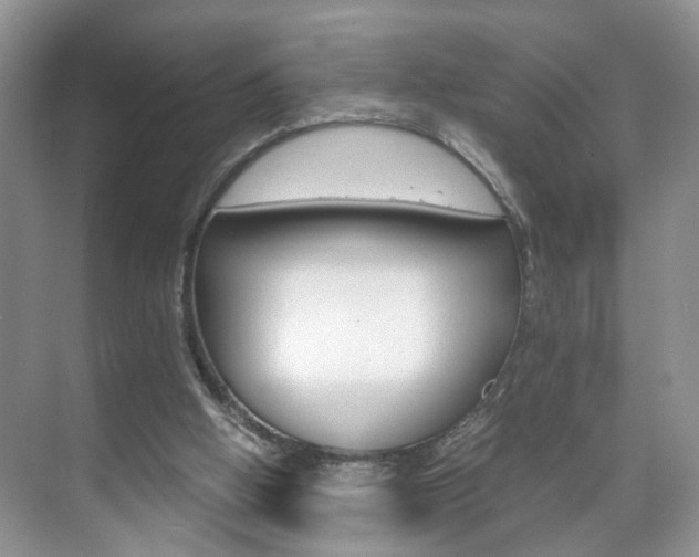 X0000071760058200606300926