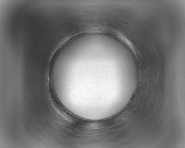 X0000071760059200606300926