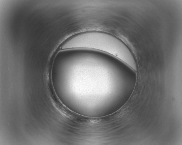 X0000071760060200606300926