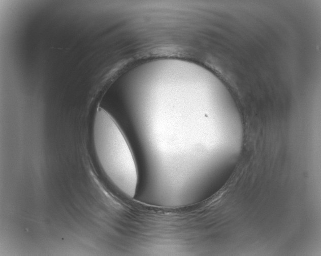 X0000071760062200606300926