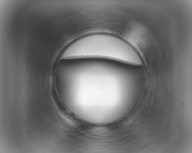 X0000071760063200606300926