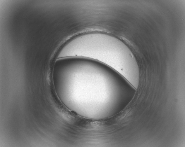 X0000071760064200606300926