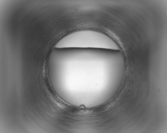 X0000071760065200606300926