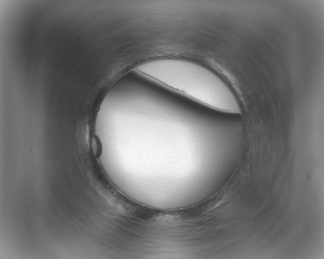 X0000071760067200606300926