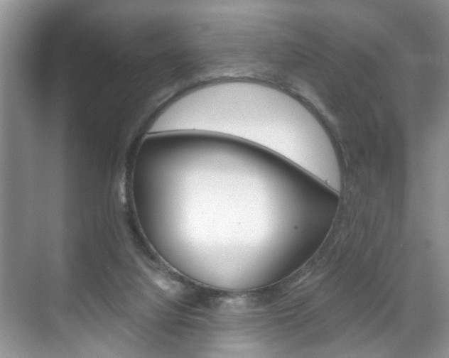 X0000071760068200606300926