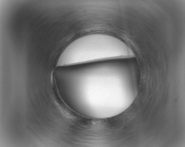 X0000071760070200606300926