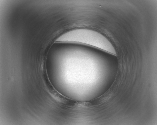 X0000071760072200606300927