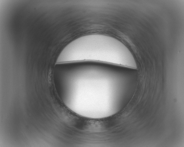 X0000071760073200606300927