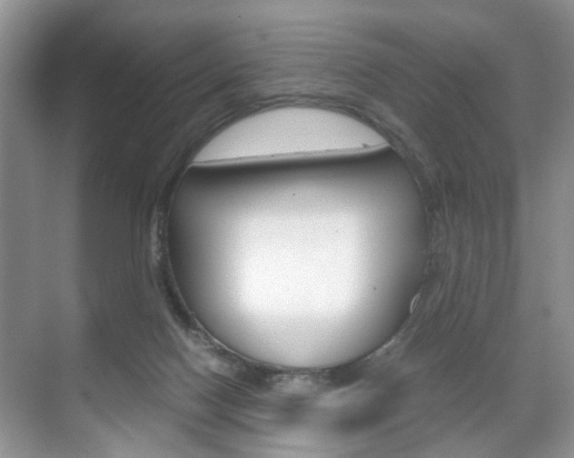 X0000071760074200606300927