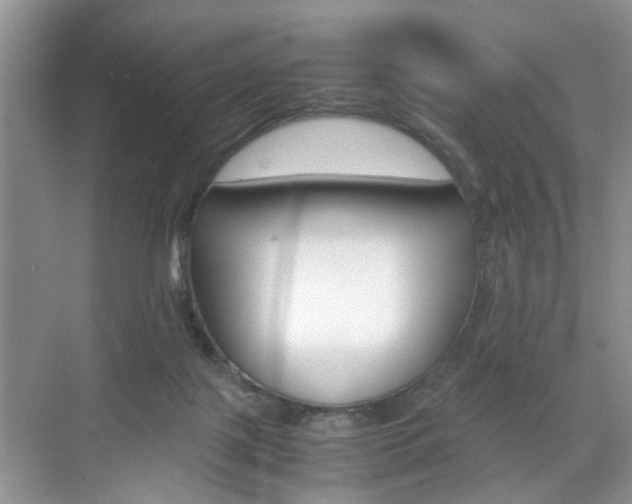 X0000071760075200606300927