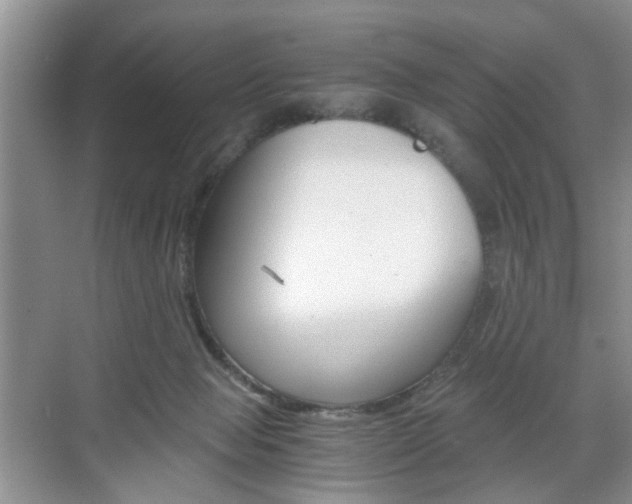 X0000071760077200606300927