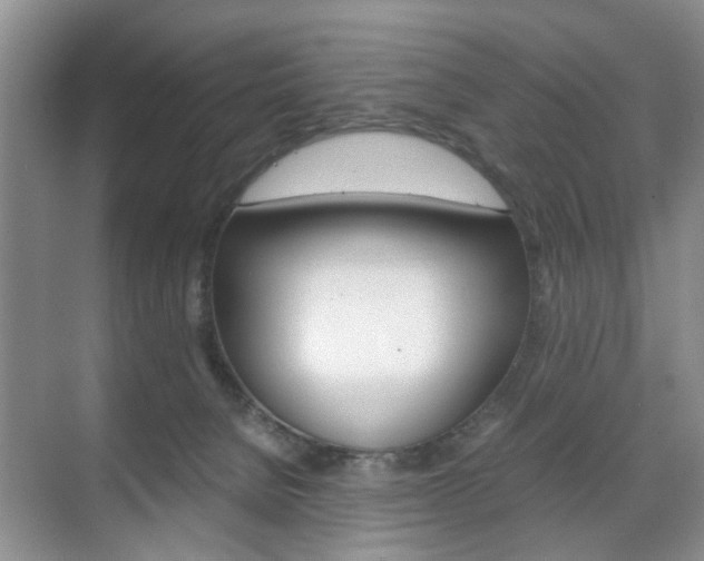 X0000071760080200606300927