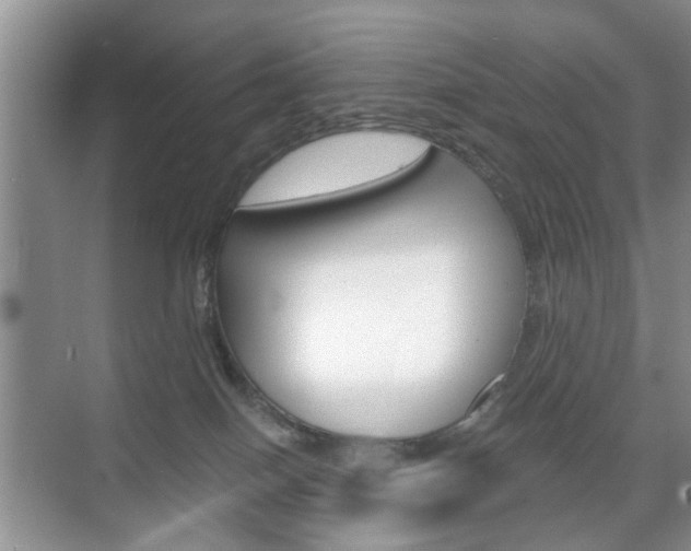 X0000071760086200606300927