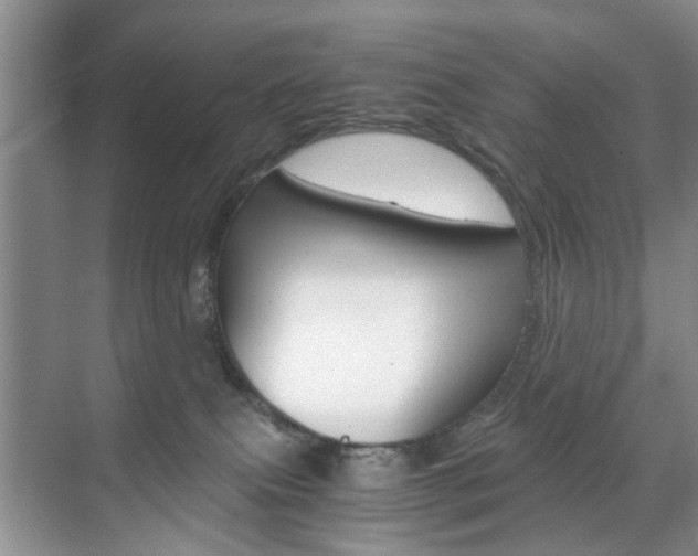 X0000071760087200606300927