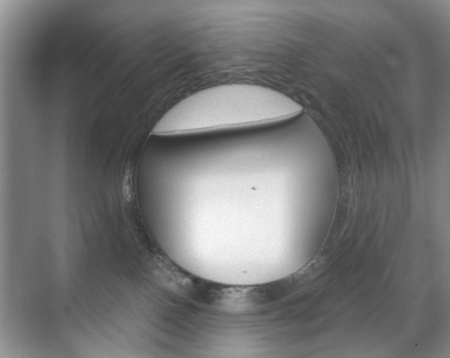 X0000071760090200606300927