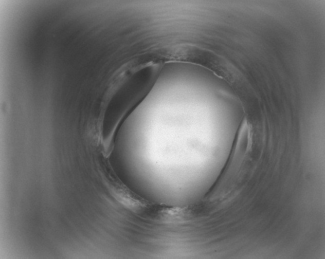 X0000071760092200606300927