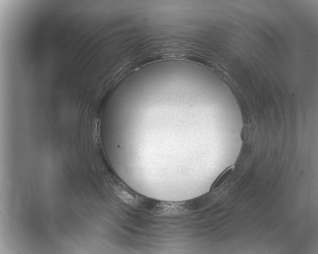 X0000071760093200606300927