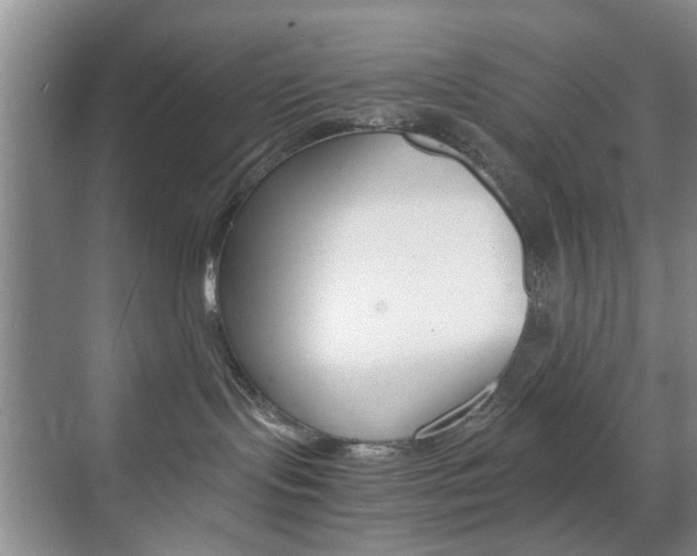 X0000071760095200606300927