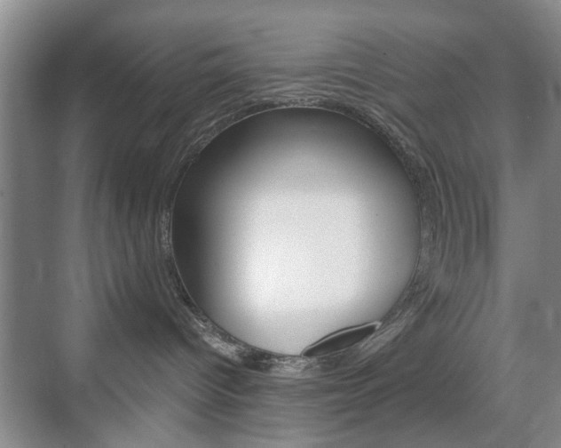 X0000071760096200606300927