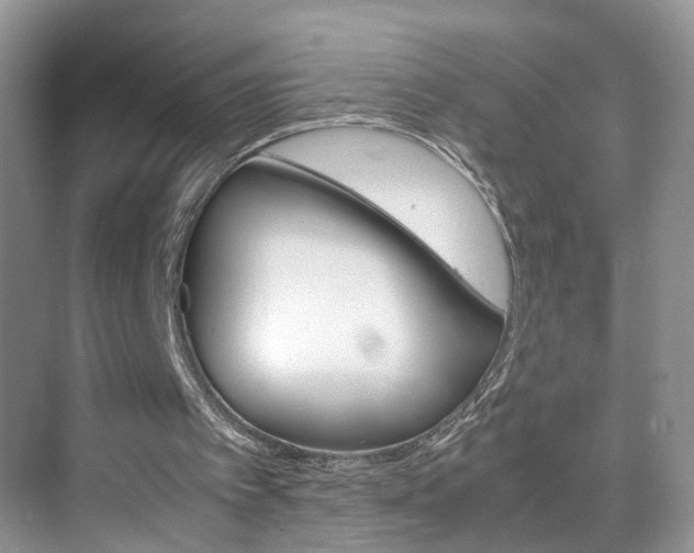 X0000071760097200606300926