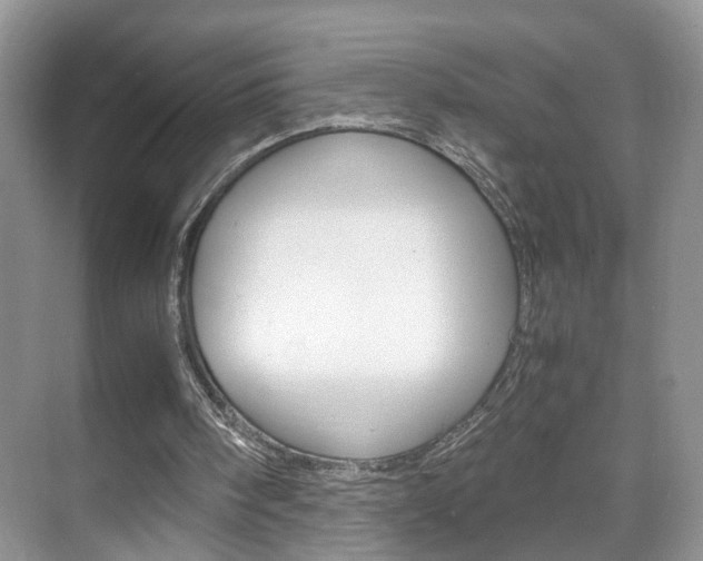 X0000071760098200606300926