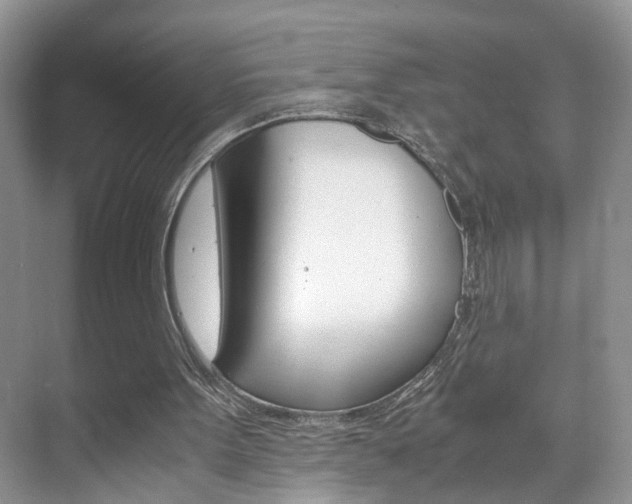 X0000071760099200606300926