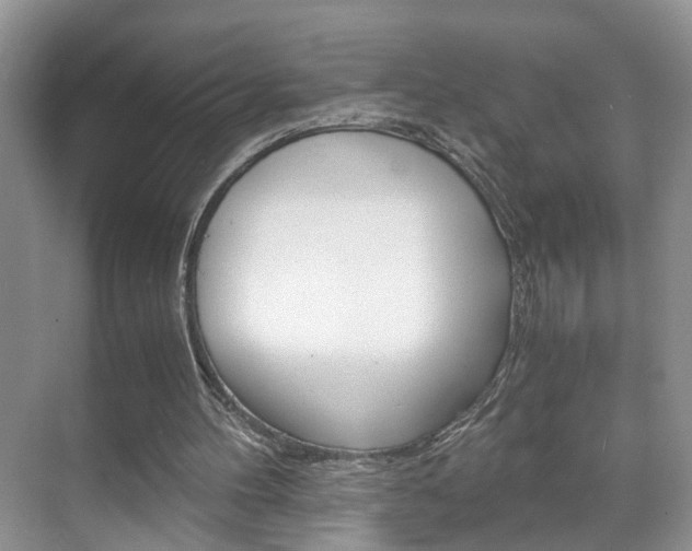 X0000071760100200606300926