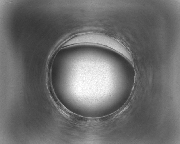 X0000071760101200606300926