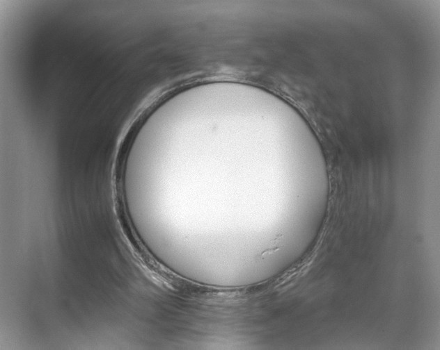 X0000071760102200606300926