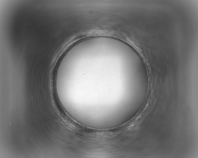 X0000071760103200606300926