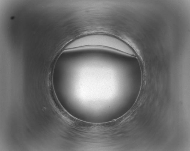 X0000071760105200606300926