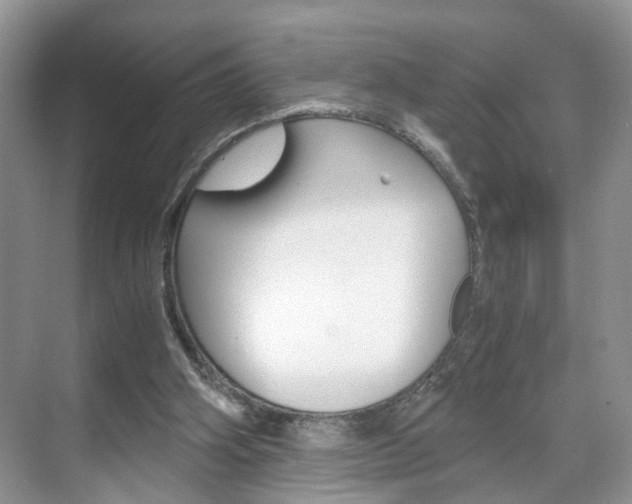 X0000071760106200606300926