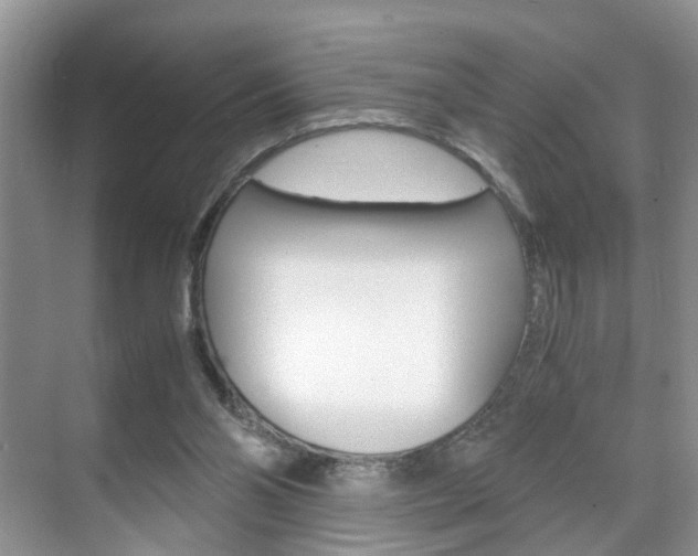 X0000071760110200606300926