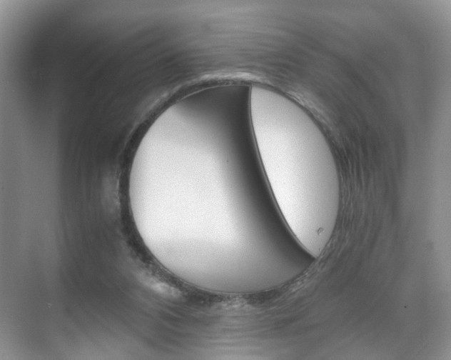 X0000071760112200606300926