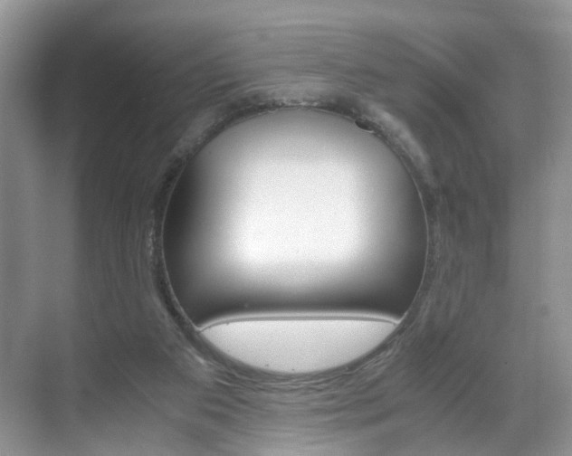 X0000071760113200606300926