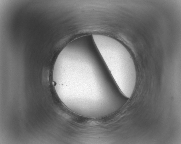 X0000071760115200606300926