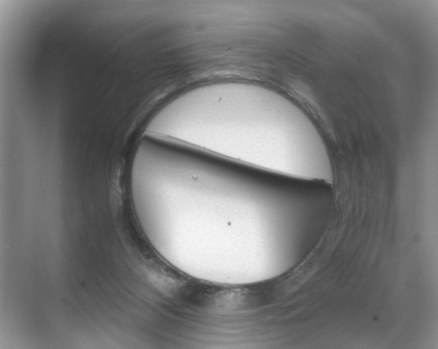 X0000071760116200606300926