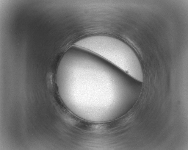 X0000071760117200606300926