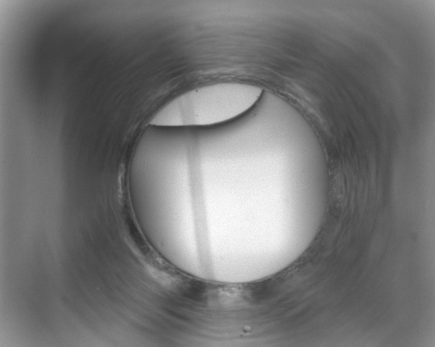 X0000071760118200606300926