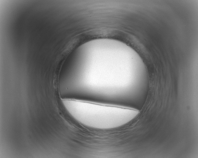 X0000071760119200606300926