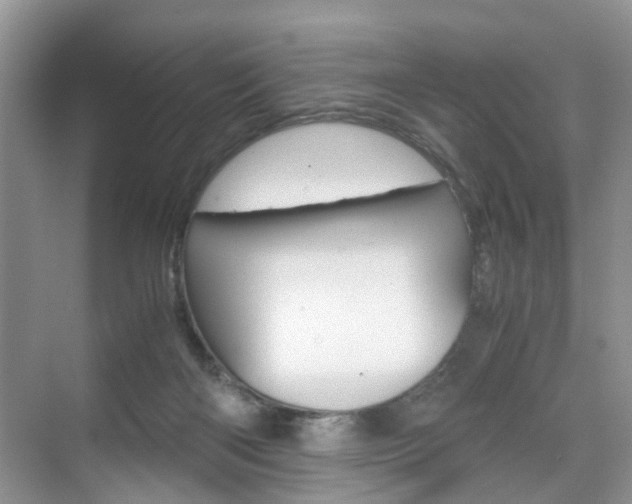 X0000071760122200606300926