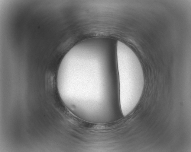 X0000071760123200606300926