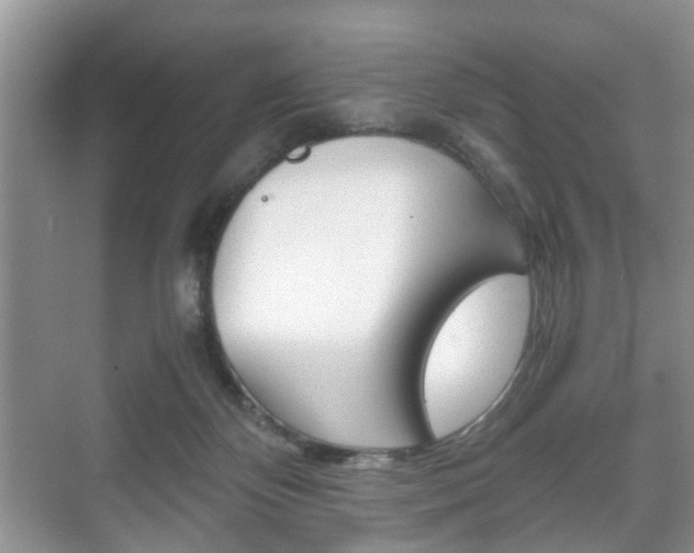 X0000071760124200606300926