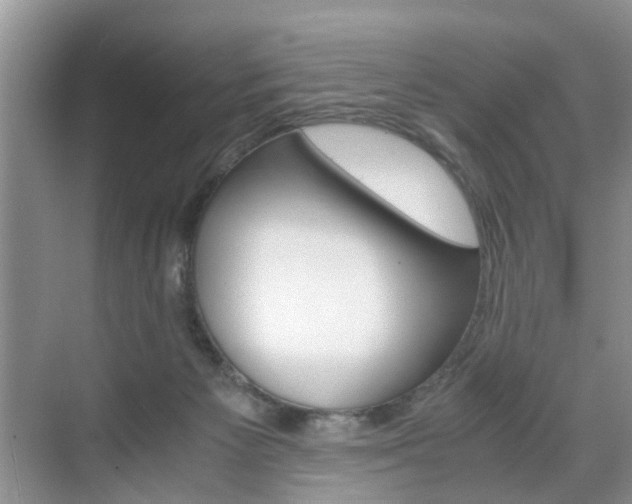 X0000071760125200606300926