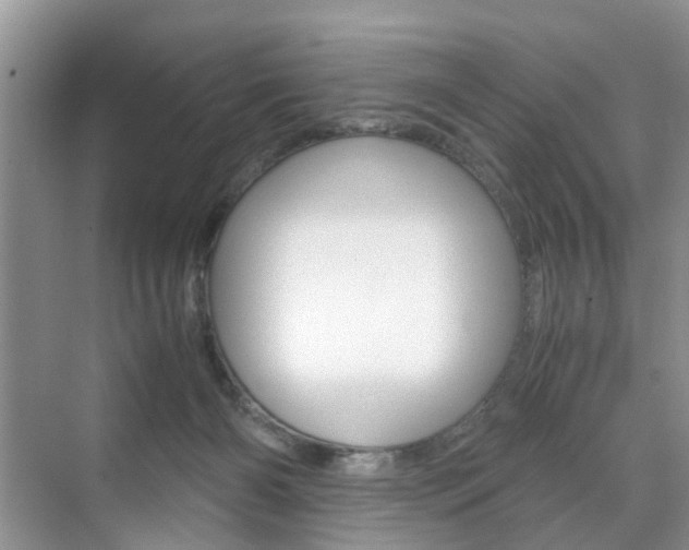 X0000071760126200606300926