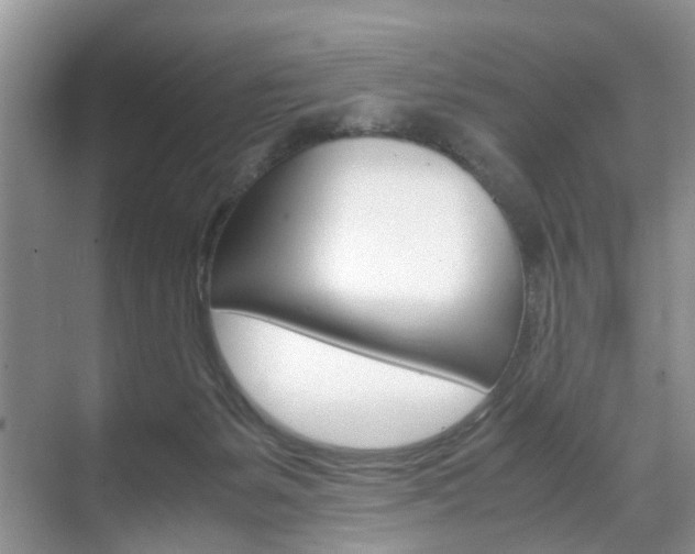 X0000071760127200606300926