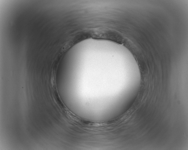 X0000071760129200606300926