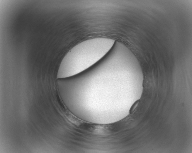 X0000071760130200606300926