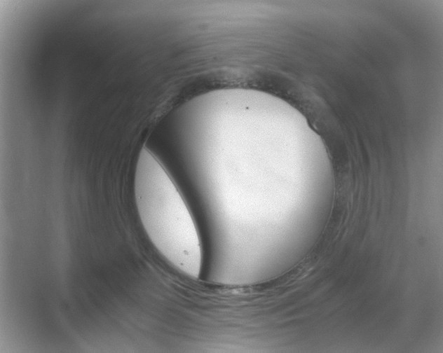 X0000071760131200606300926